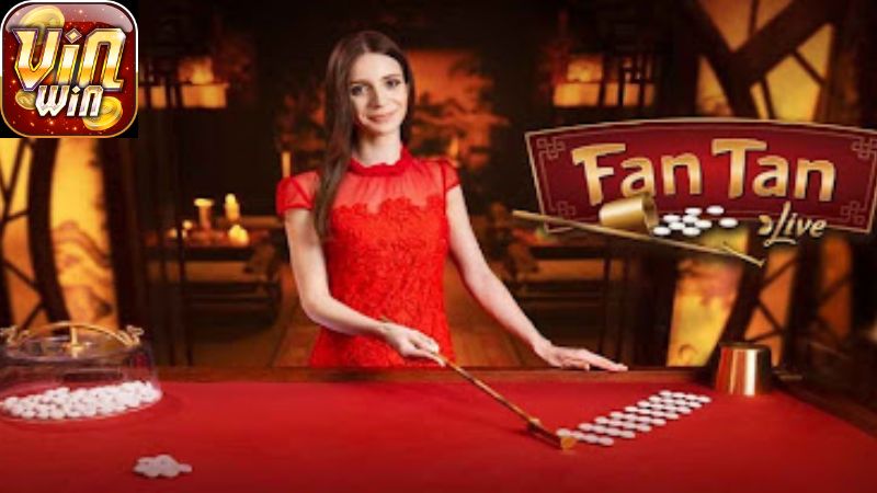 Những Câu Hỏi Thường Gặp Khi Tìm Hiểu