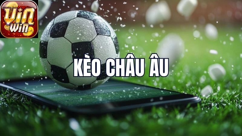 Các Câu Hỏi Thường Gặp