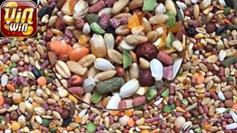 thuc-an-tot-nhat-cho-ga-choi