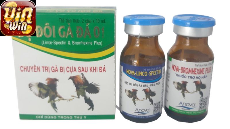 Những biện pháp phòng tránh khi tham gia cá cược đá gà